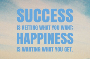 Read more about the article Success v Happiness